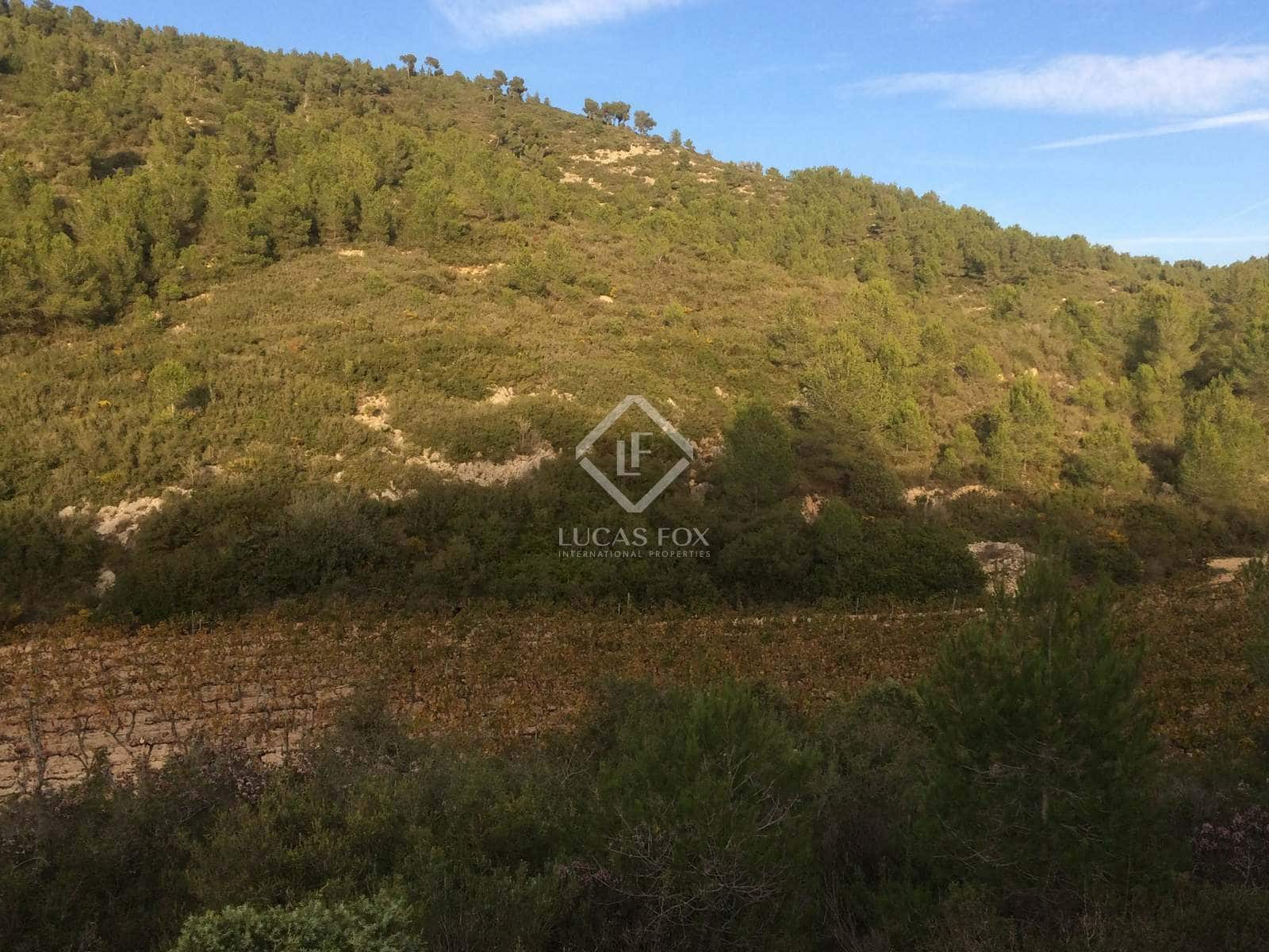Finca/Landgut zu verkaufen in Castellet i la Gornal - 2.200.000 € (Ref: 3525719)
