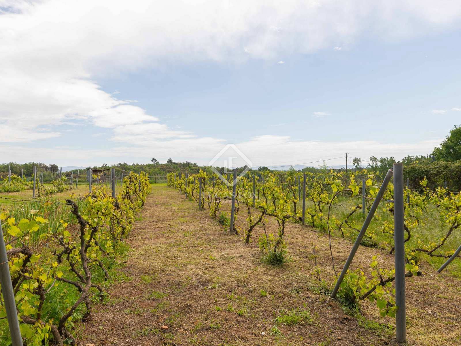 15 soveværelse Erhverv til salg i Santa Coloma de Farners med swimmingpool - € 1.590.000 (Ref: 6247621)