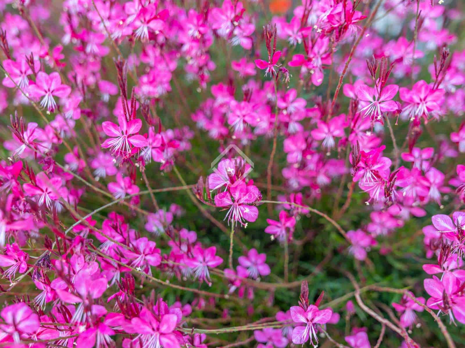 4 sovrum Finca/Hus på landet till salu i Archidona med pool garage - 890 000 € (Ref: 6433159)