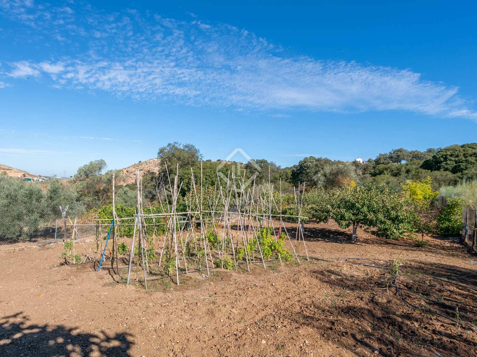 4 sovrum Finca/Hus på landet till salu i Archidona med pool garage - 890 000 € (Ref: 6433159)