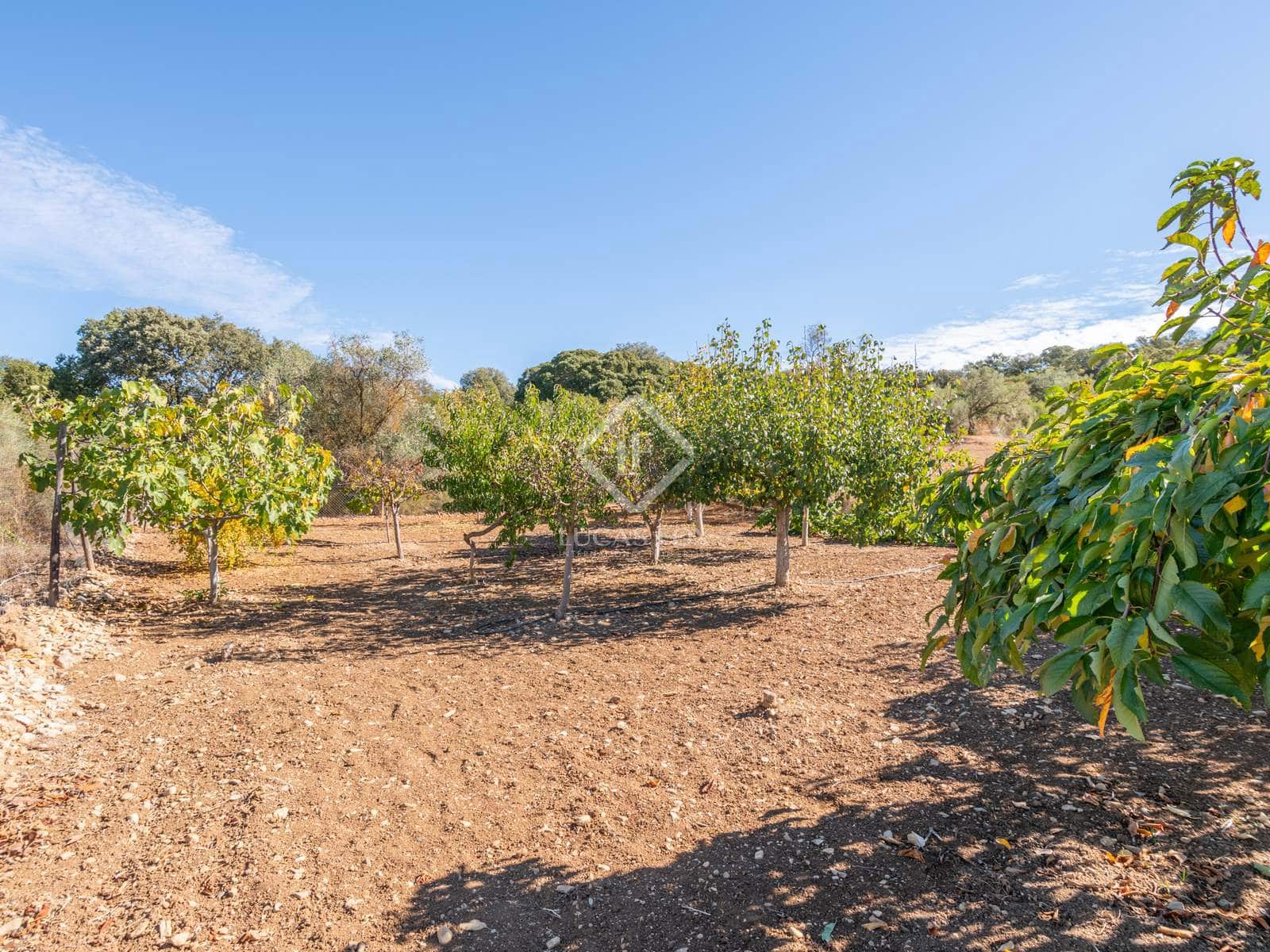 4 sovrum Finca/Hus på landet till salu i Archidona med pool garage - 890 000 € (Ref: 6433159)
