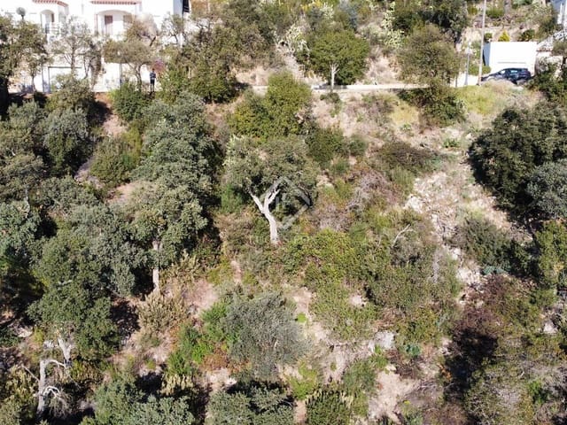 Bouwgrond te koop in Santa Cristina d'Aro - € 195.000 (Ref: 6636862)