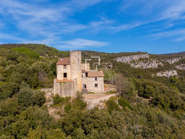 Finca/Casa Rural de 8 habitaciones en Amer en venta con garaje - 1.450.000 € (Ref: 6682352)