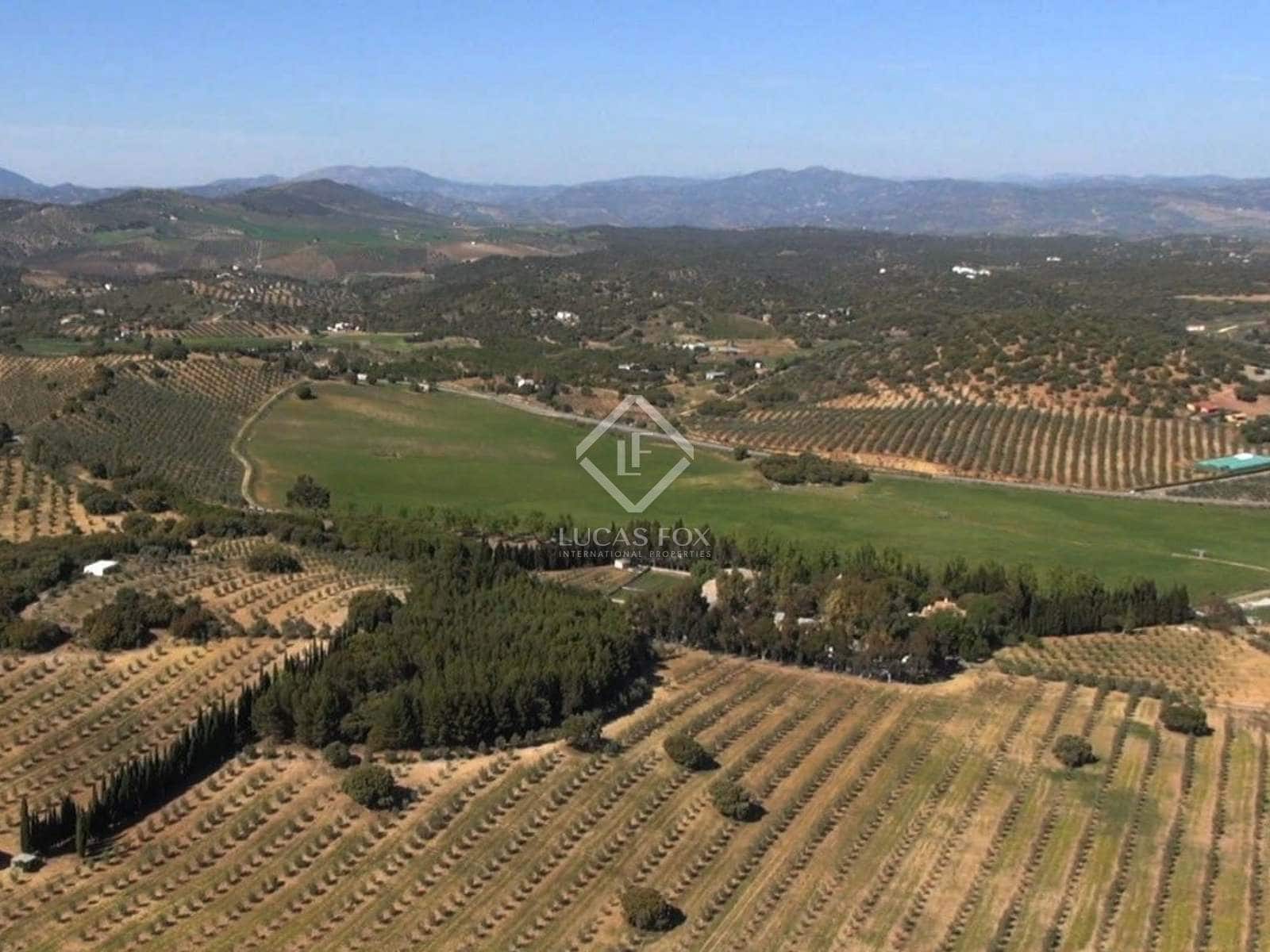 7 sovrum Finca/Hus på landet till salu i Archidona med pool garage - 895 000 € (Ref: 6767029)