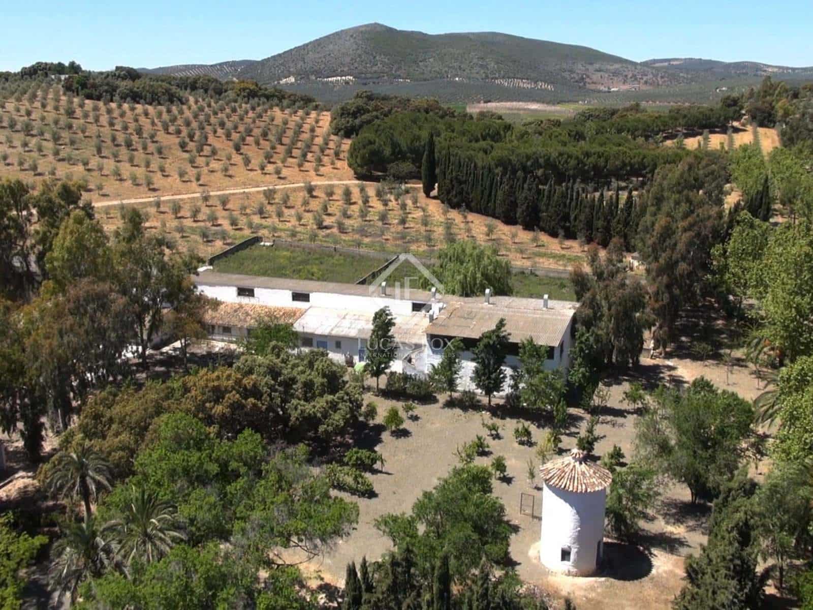 7 sovrum Finca/Hus på landet till salu i Archidona med pool garage - 895 000 € (Ref: 6767029)