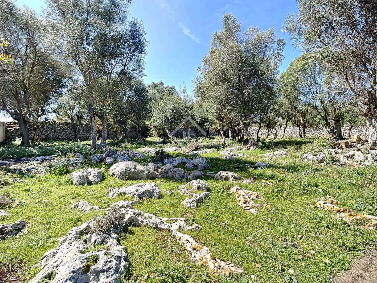 5 camera da letto Finca/Casa di Campagna in vendita in San Luis / Sant Lluis con piscina garage - 1.250.000 € (Rif: 6785806)