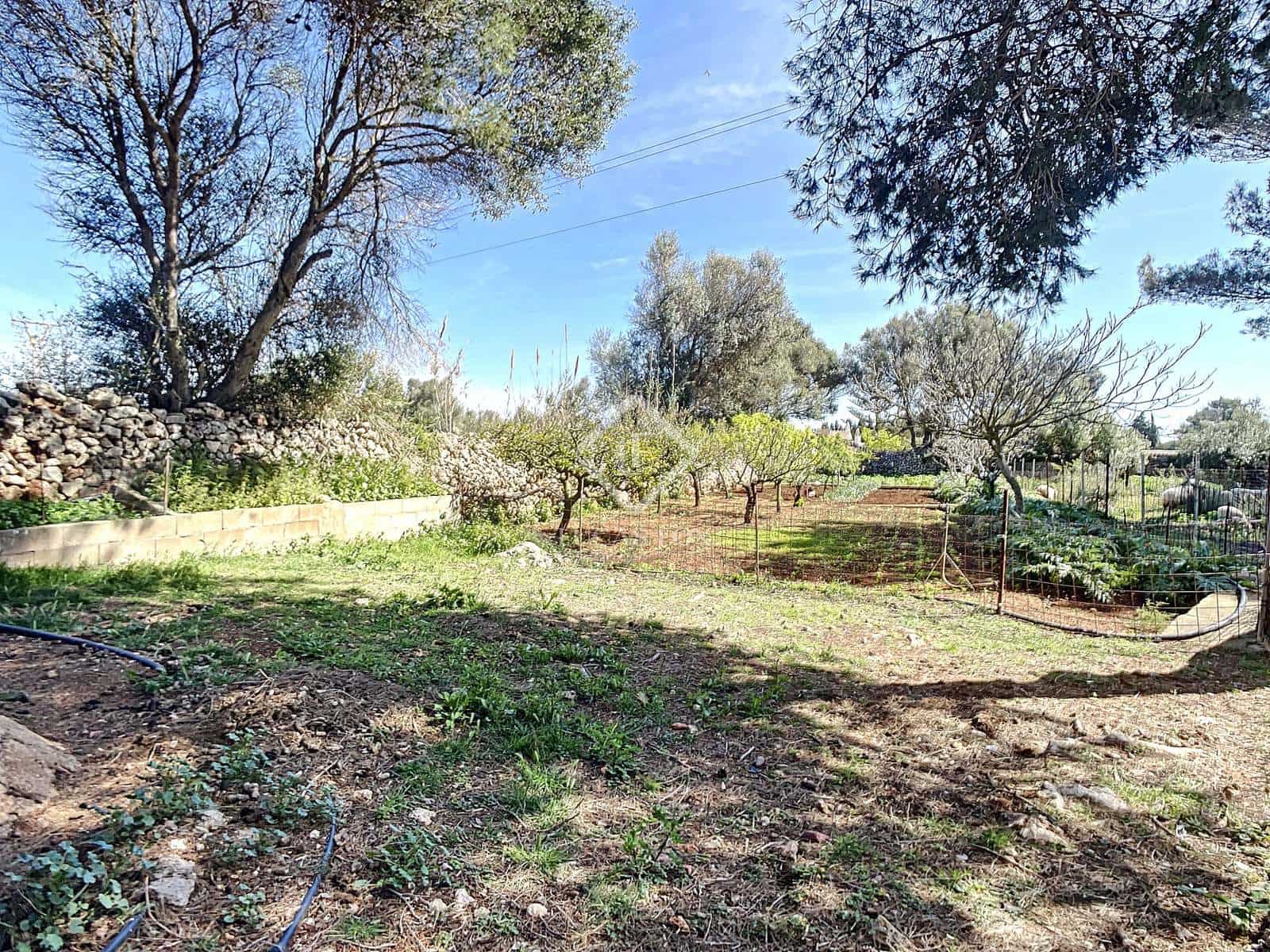 5 camera da letto Finca/Casa di Campagna in vendita in San Luis / Sant Lluis con piscina garage - 1.250.000 € (Rif: 6785806)