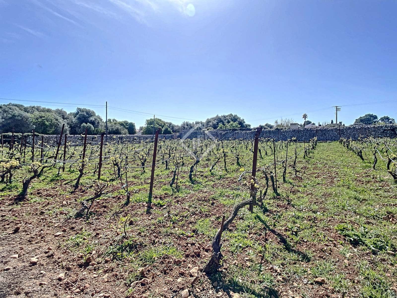 5 camera da letto Finca/Casa di Campagna in vendita in San Luis / Sant Lluis con piscina garage - 1.250.000 € (Rif: 6785806)