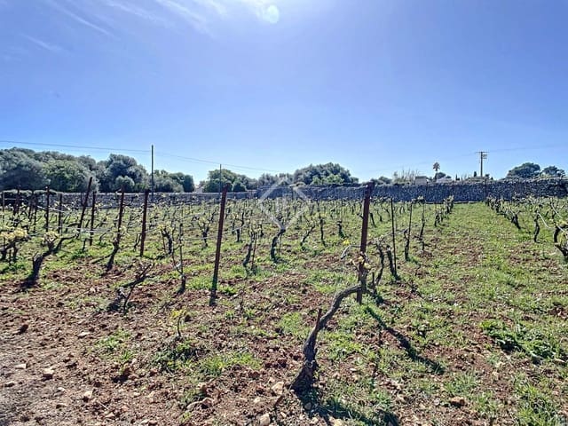 5 slaapkamer Finca/Landhuis te koop in San Luis / Sant Lluís met zwembad garage - € 1.250.000 (Ref: 6785806)