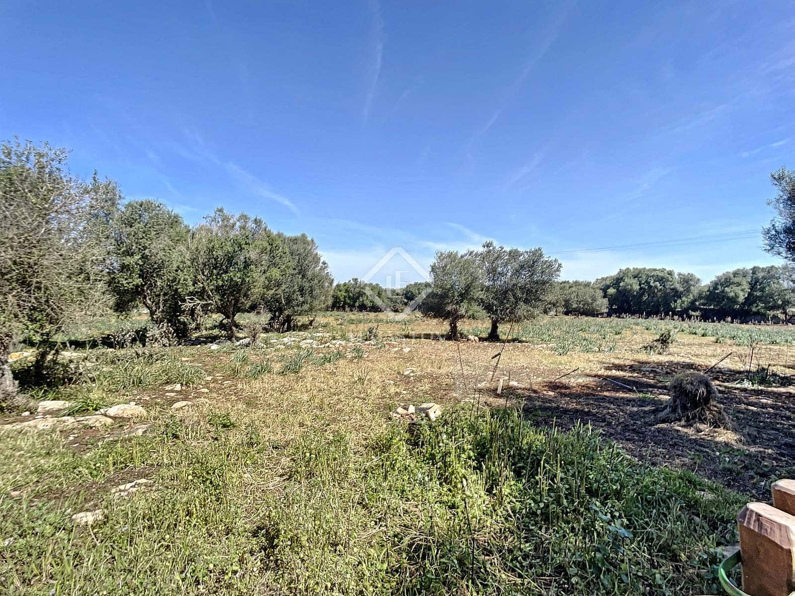 5 camera da letto Finca/Casa di Campagna in vendita in San Luis / Sant Lluis con piscina garage - 1.250.000 € (Rif: 6785806)