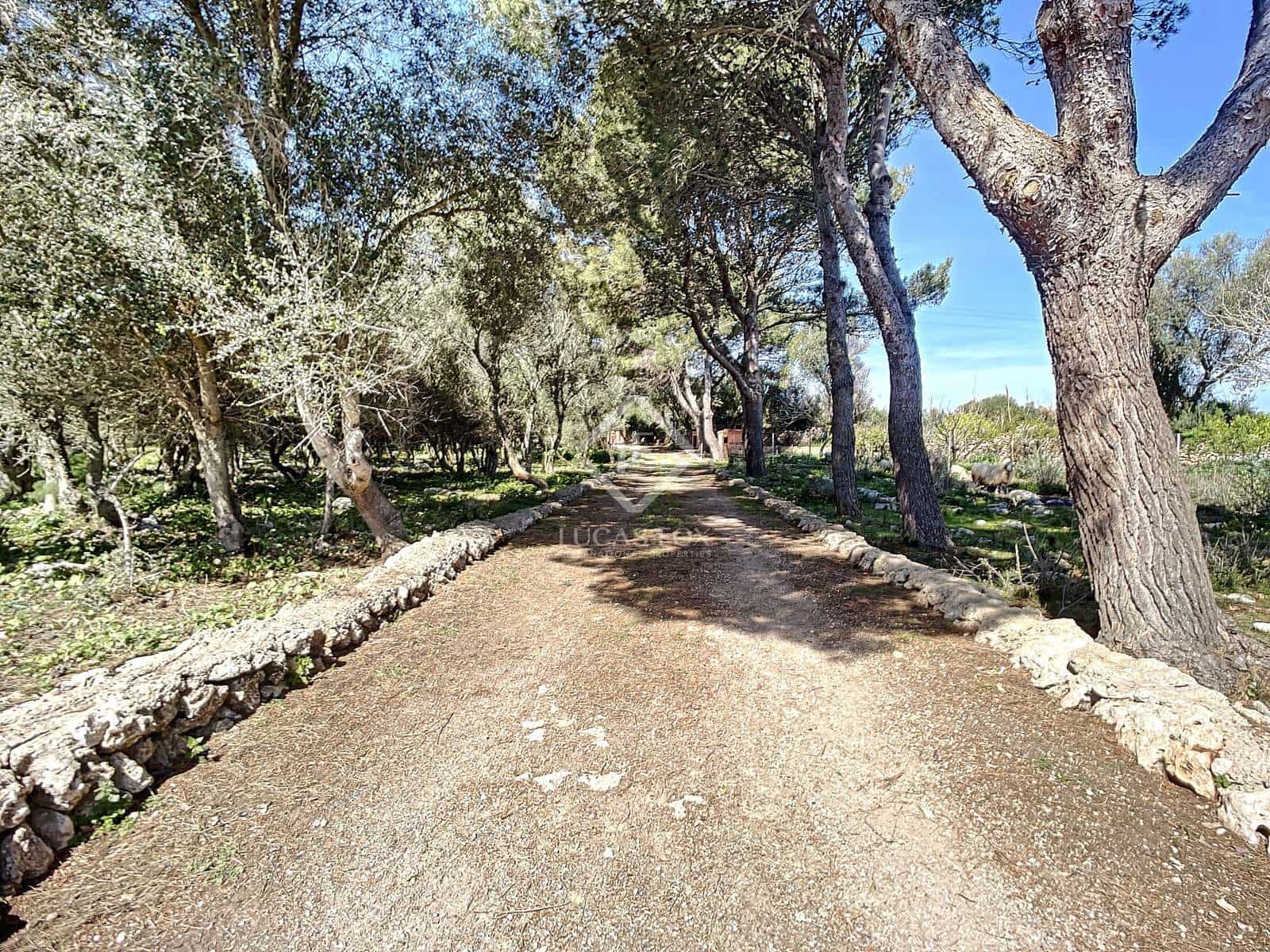 5 camera da letto Finca/Casa di Campagna in vendita in San Luis / Sant Lluis con piscina garage - 1.250.000 € (Rif: 6785806)