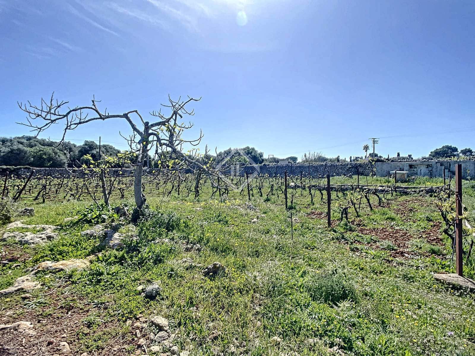 5 camera da letto Finca/Casa di Campagna in vendita in San Luis / Sant Lluis con piscina garage - 1.250.000 € (Rif: 6785806)