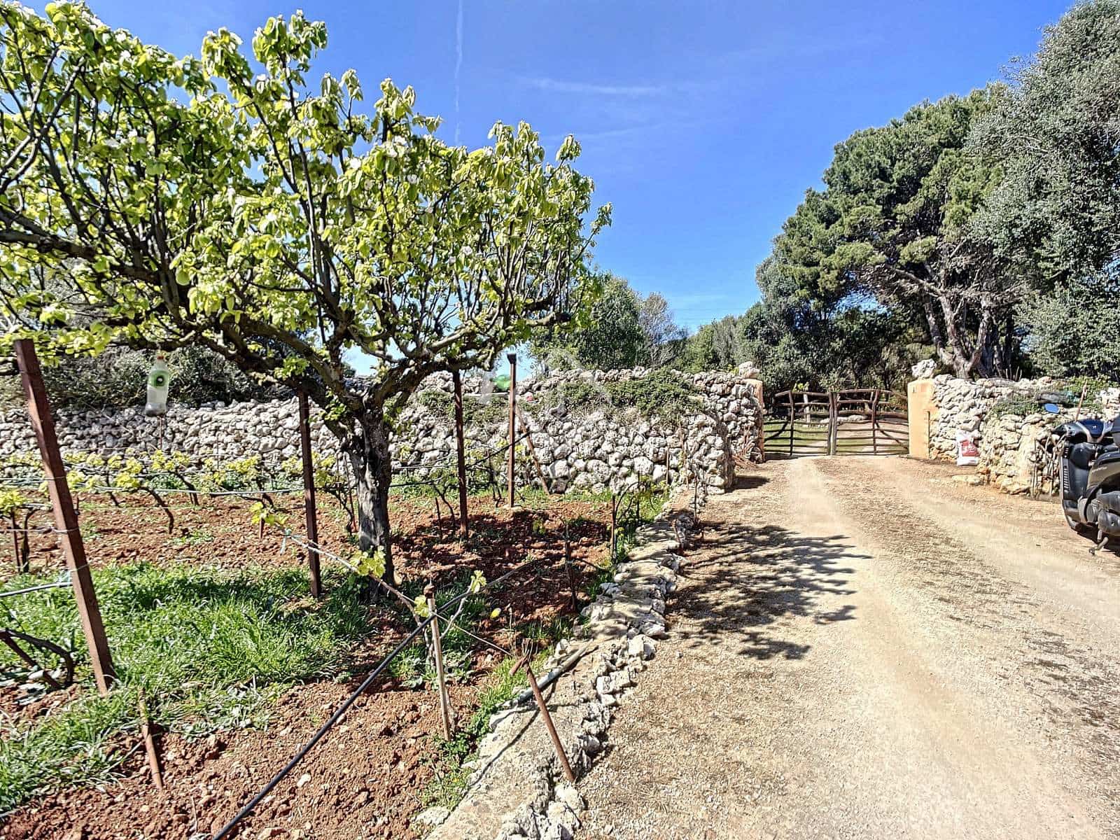 5 camera da letto Finca/Casa di Campagna in vendita in San Luis / Sant Lluis con piscina garage - 1.250.000 € (Rif: 6785806)