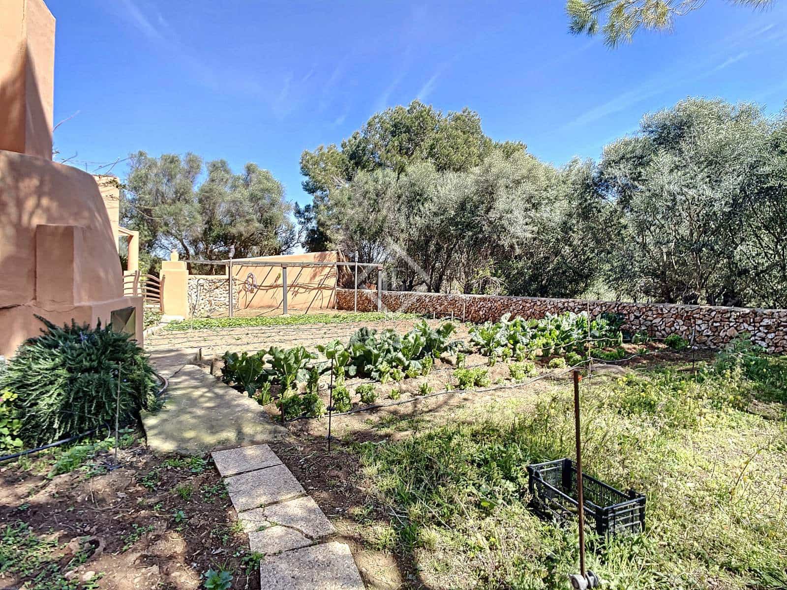 5 camera da letto Finca/Casa di Campagna in vendita in San Luis / Sant Lluis con piscina garage - 1.250.000 € (Rif: 6785806)