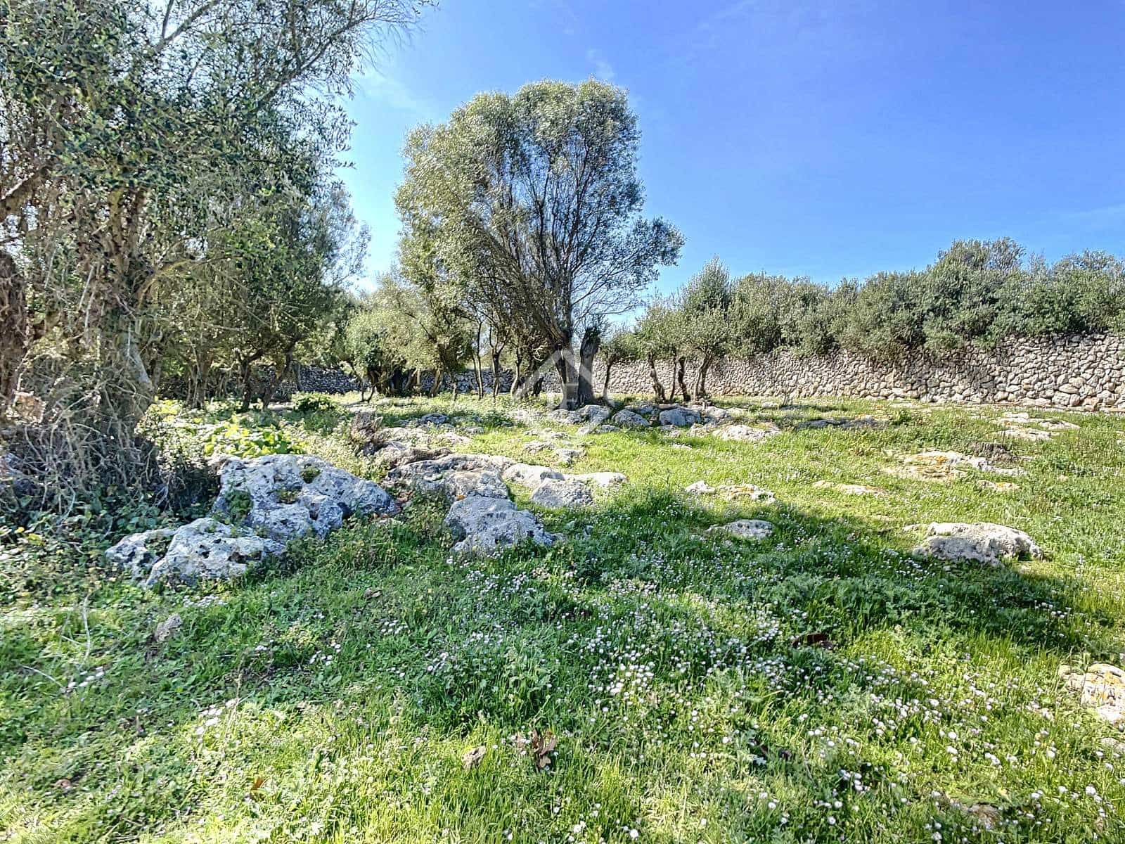 5 camera da letto Finca/Casa di Campagna in vendita in San Luis / Sant Lluis con piscina garage - 1.250.000 € (Rif: 6785806)