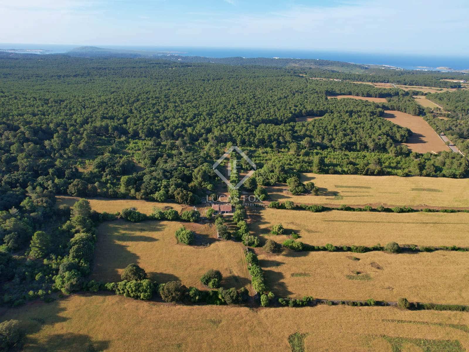 3 sypialnia Finka/Dom wiejski na sprzedaż w Es Mercadal z basenem - 4 400 000 € (Ref: 6848466)