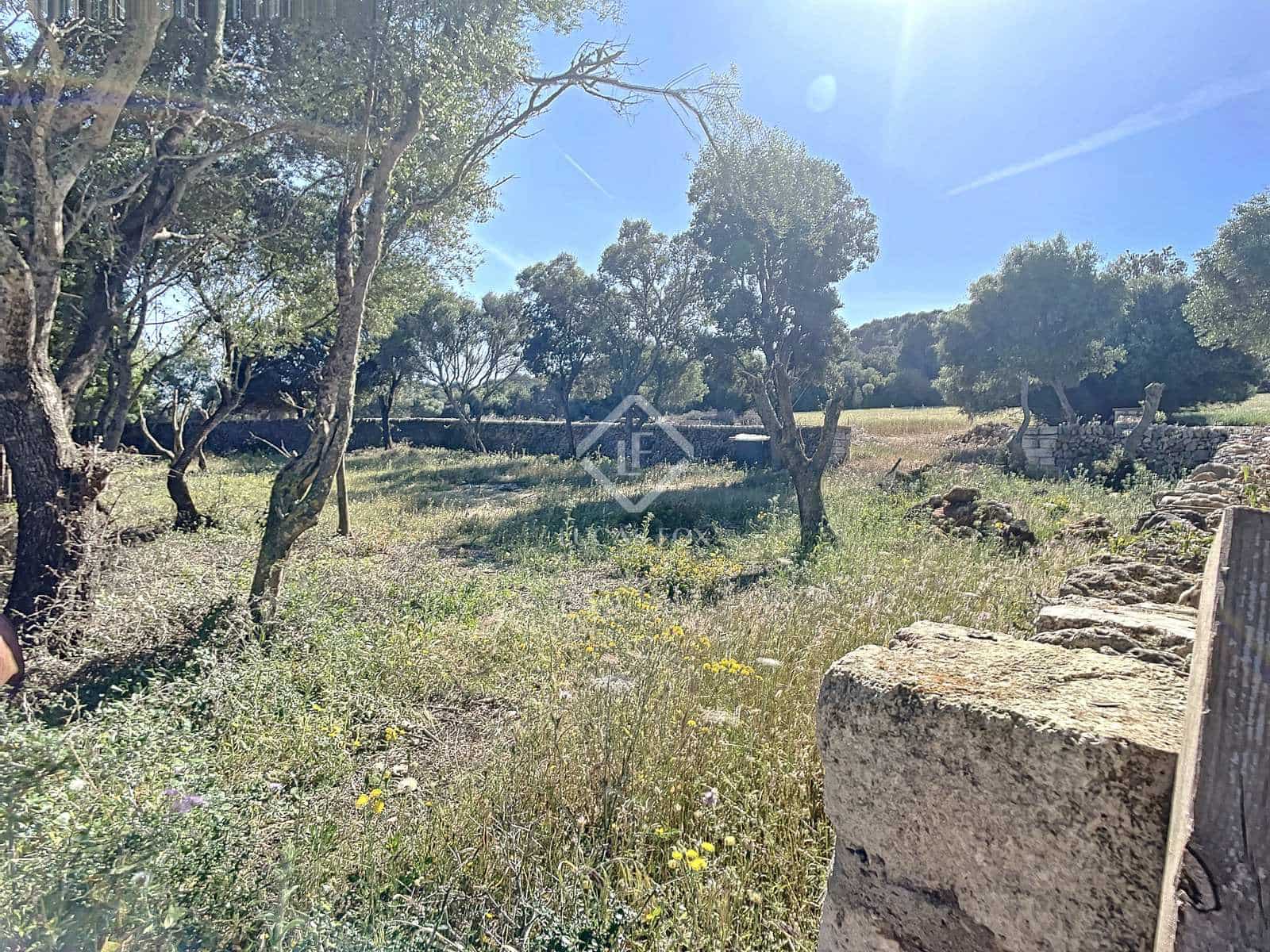 3 sypialnia Finka/Dom wiejski na sprzedaż w Es Mercadal z basenem - 4 400 000 € (Ref: 6848466)