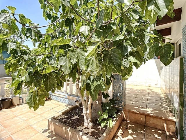 7 sypialnia Willa na sprzedaż w Mahón / Maó z basenem - 1 000 000 € (Ref: 6895204)