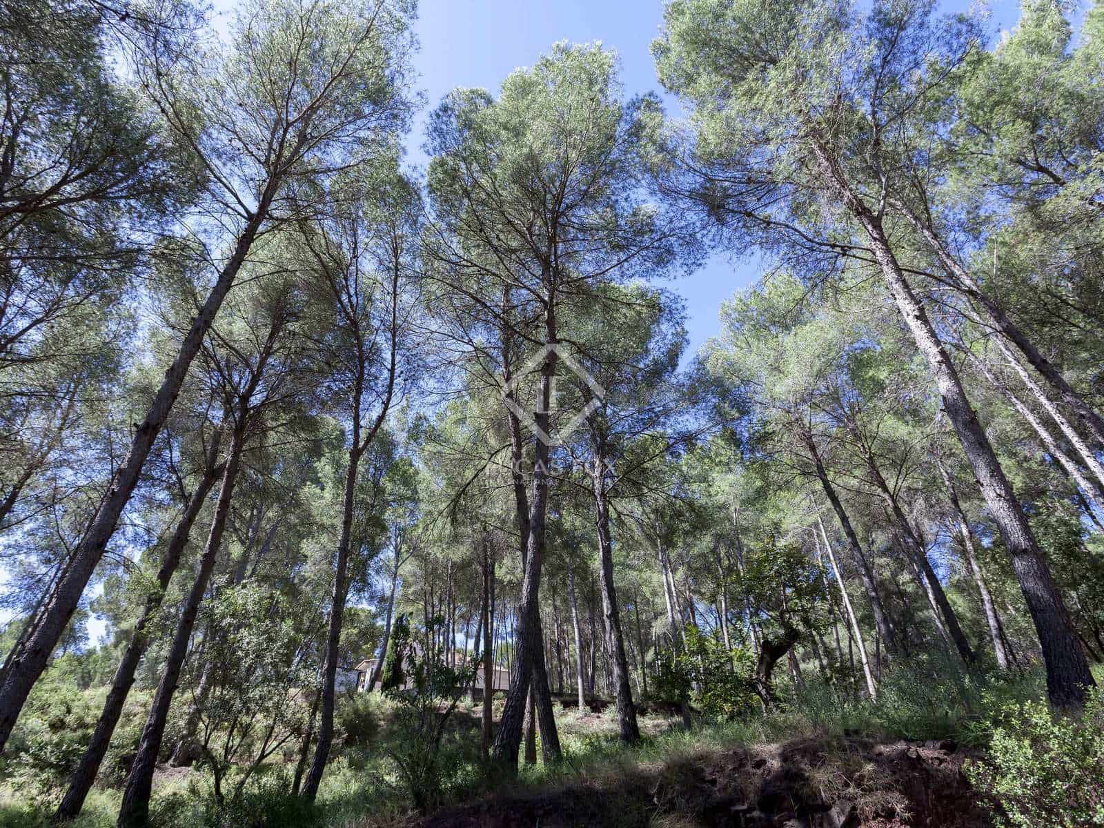 6 soveværelse Villa til salg i Naquera - € 900.000 (Ref: 6926302)