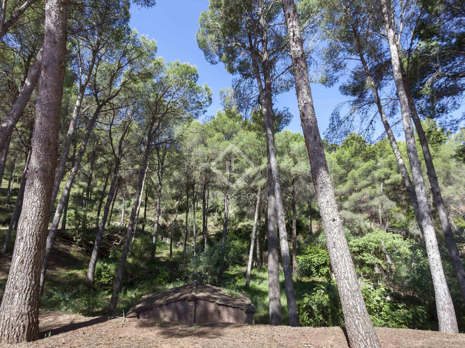 6 soveværelse Villa til salg i Naquera - € 900.000 (Ref: 6926302)