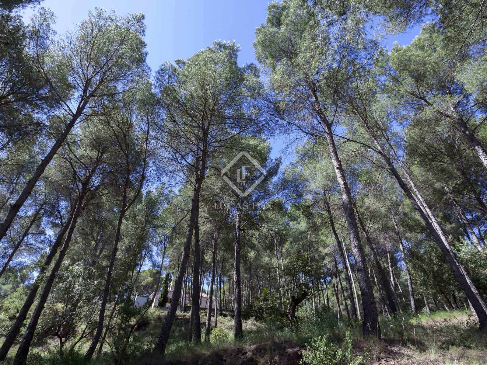 6 soveværelse Villa til salg i Naquera - € 900.000 (Ref: 6926302)