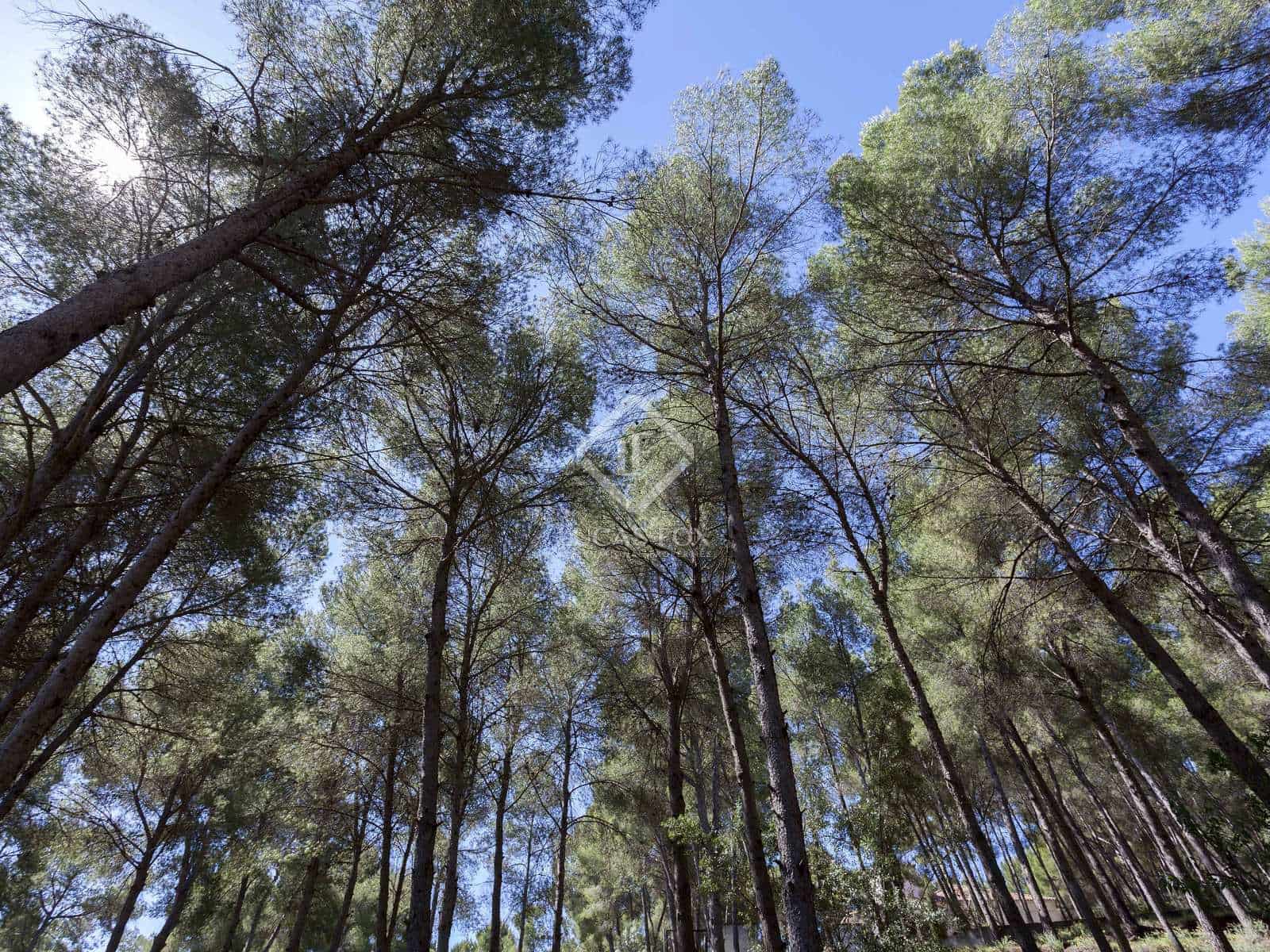 6 soveværelse Villa til salg i Naquera - € 900.000 (Ref: 6926302)