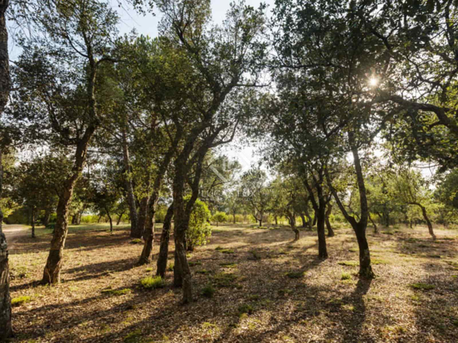 5 camera da letto Finca/Casa di Campagna in vendita in Cassa de la Selva con piscina garage - 1.640.000 € (Rif: 6971233)