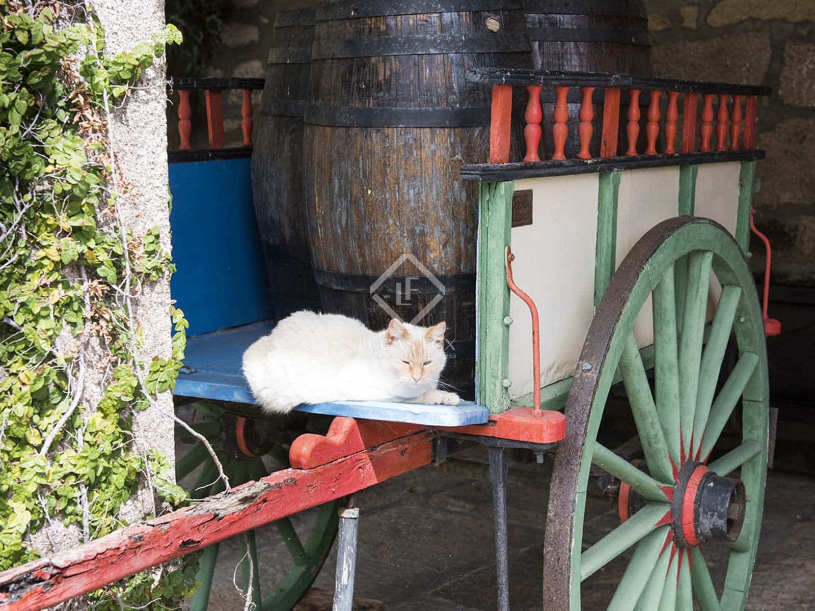 7 soveværelse Villa til salg i Nigran med swimmingpool garage - € 1.700.000 (Ref: 7182844)