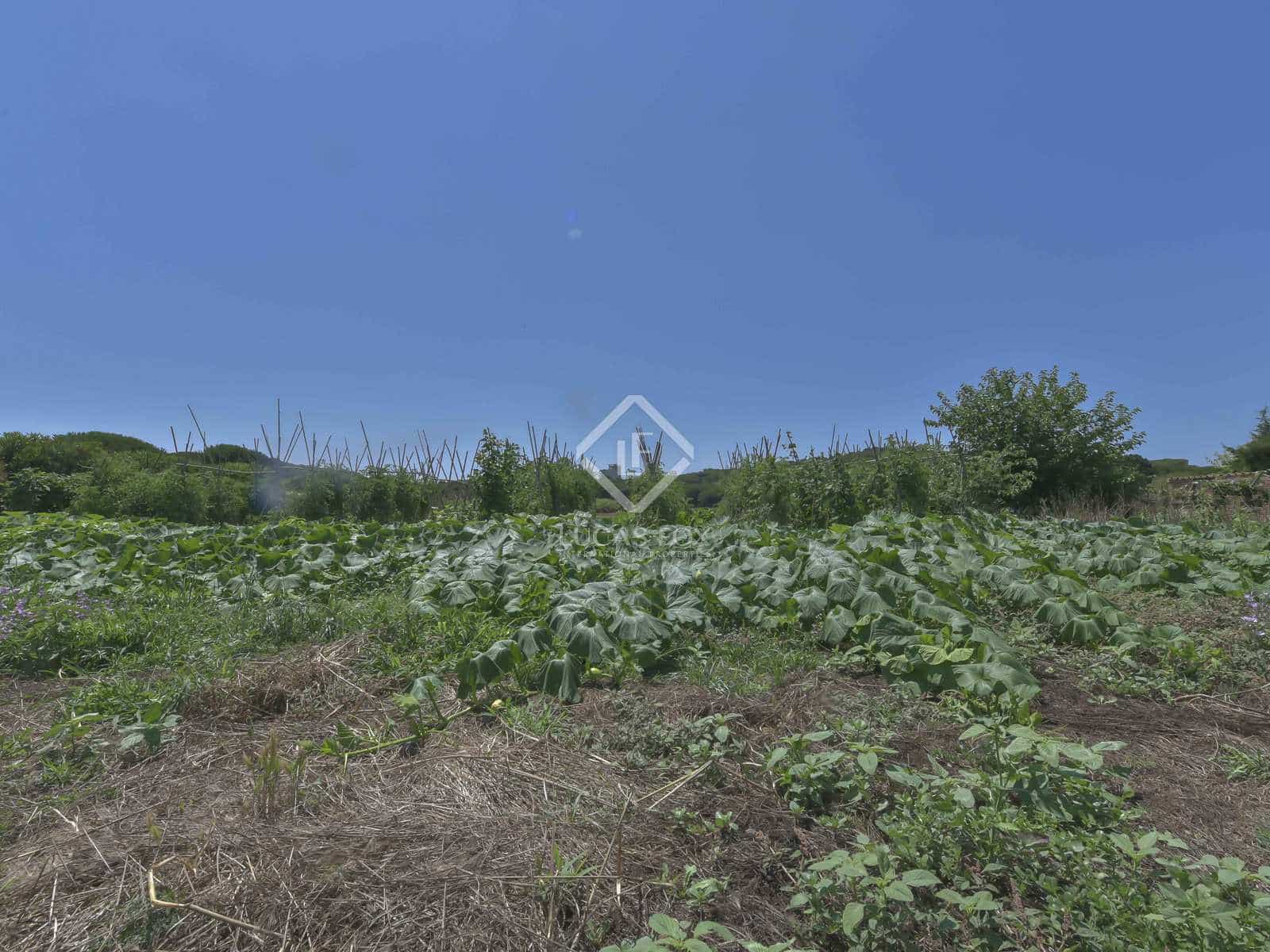 4 bedroom Villa for sale in Platja d'Aro with pool garage - € 1,400,000 (Ref: 7236719)