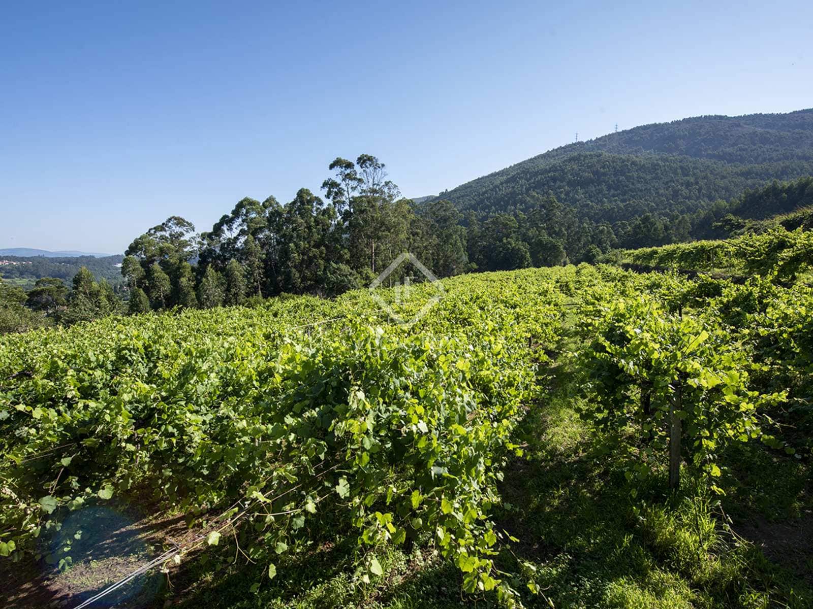 5 soveværelse Finca/Landehus til salg i Mos med garage - € 1.800.000 (Ref: 7341974)