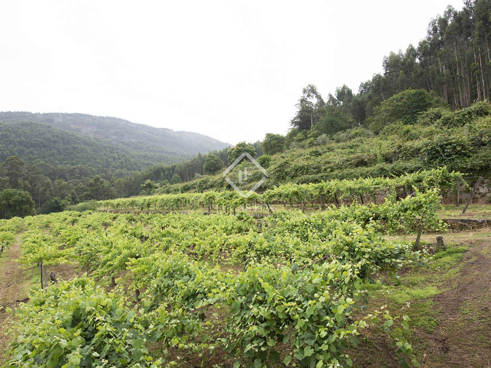 5 soveværelse Finca/Landehus til salg i Mos med garage - € 1.800.000 (Ref: 7341974)