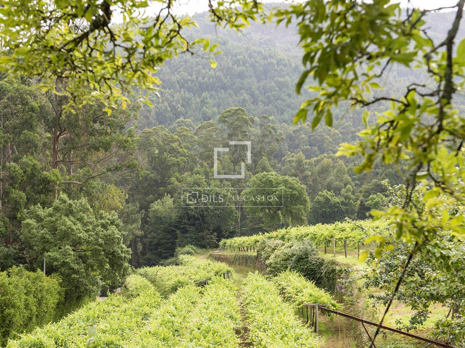 5 sypialnia Finka/Dom wiejski na sprzedaż w Mos z garażem - 1 800 000 € (Ref: 7341974)