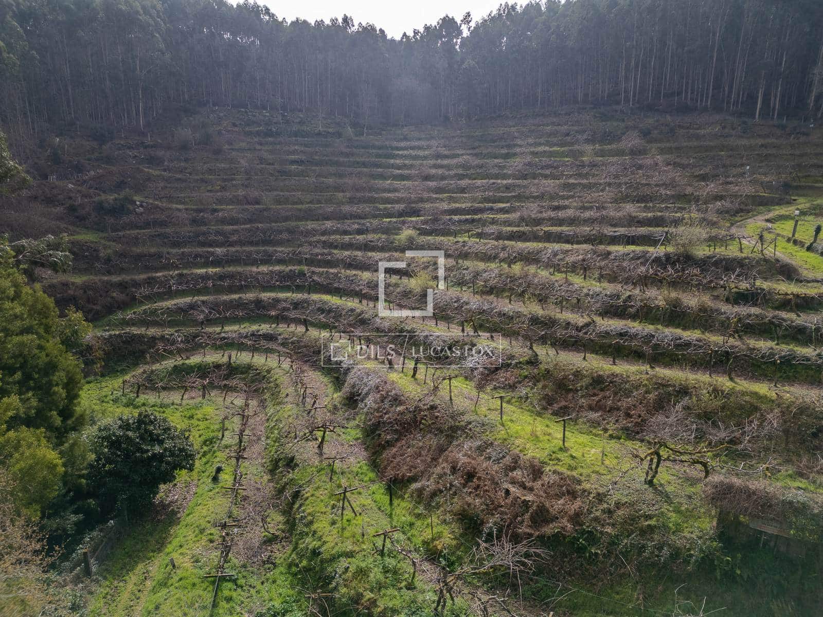 5 sypialnia Finka/Dom wiejski na sprzedaż w Mos z garażem - 1 800 000 € (Ref: 7341974)