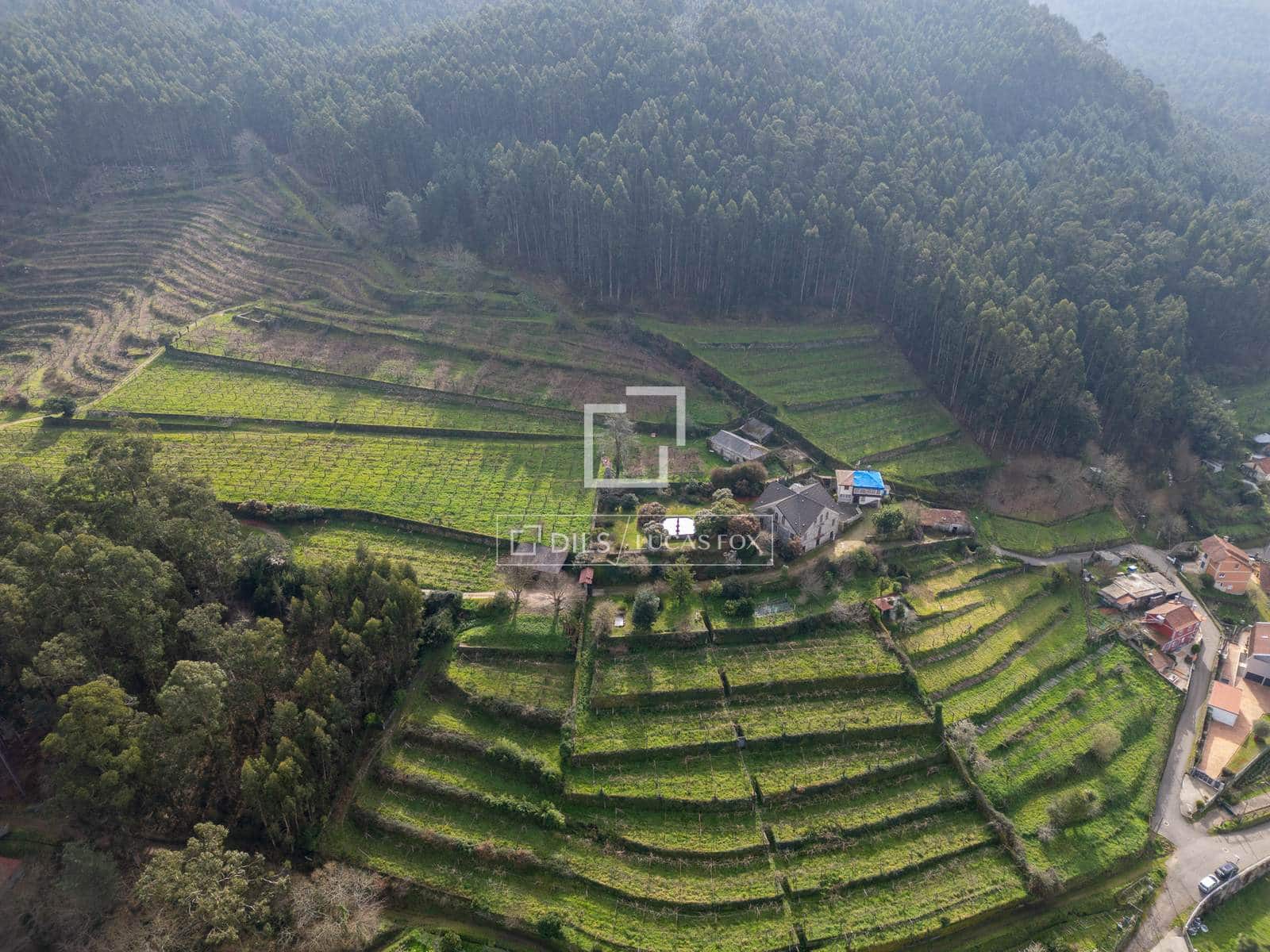 5 sypialnia Finka/Dom wiejski na sprzedaż w Mos z garażem - 1 800 000 € (Ref: 7341974)