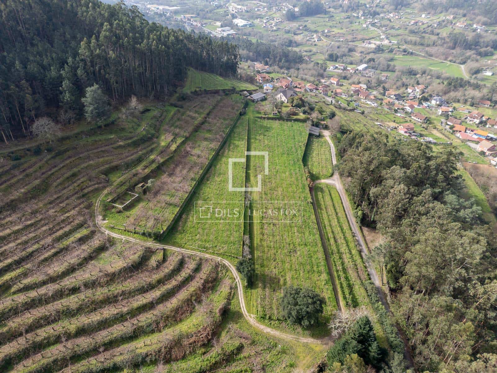 5 sypialnia Finka/Dom wiejski na sprzedaż w Mos z garażem - 1 800 000 € (Ref: 7341974)