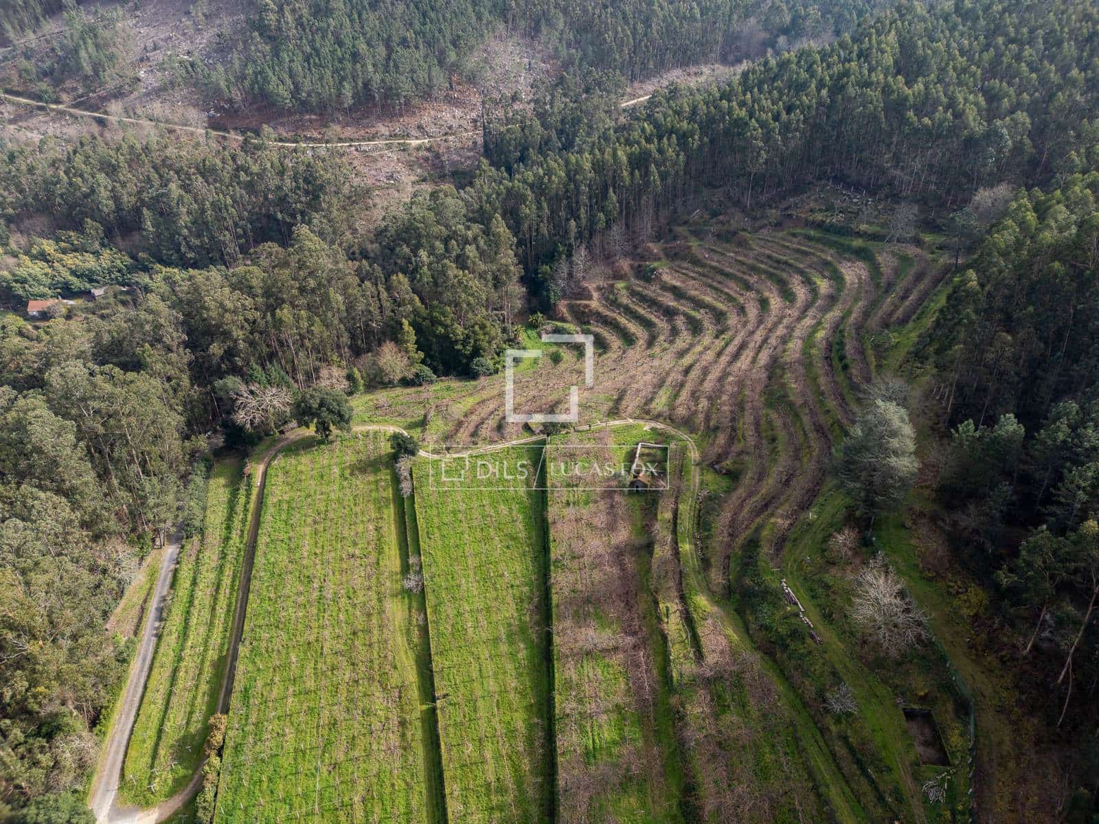 5 sypialnia Finka/Dom wiejski na sprzedaż w Mos z garażem - 1 800 000 € (Ref: 7341974)