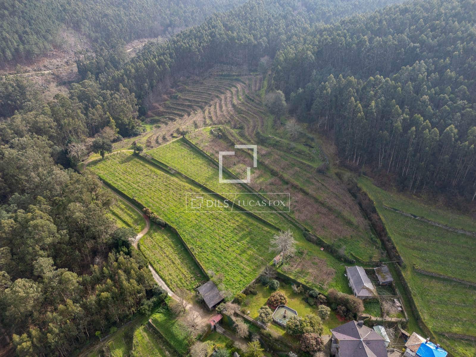 5 sypialnia Finka/Dom wiejski na sprzedaż w Mos z garażem - 1 800 000 € (Ref: 7341974)