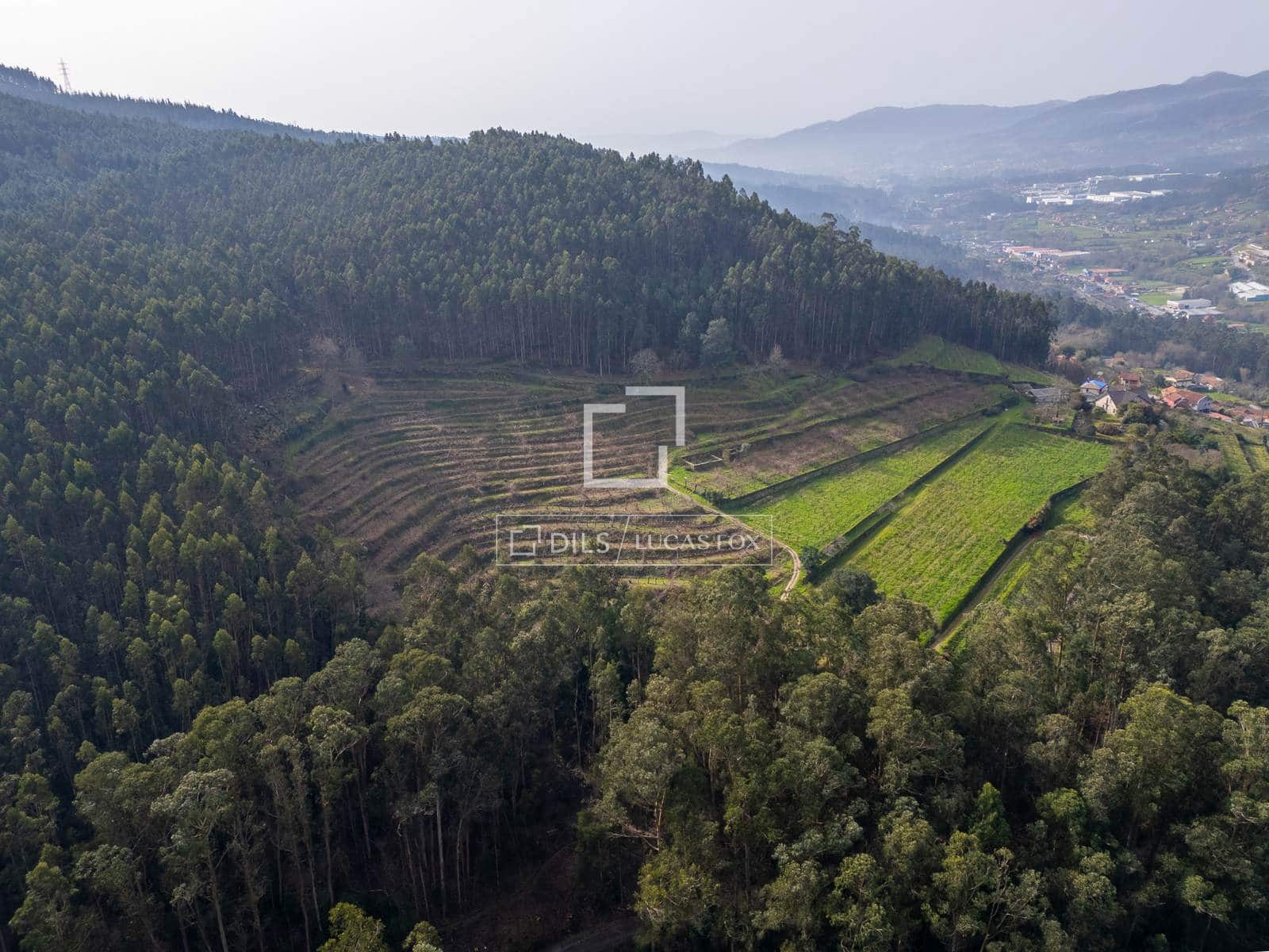 Finca/Casa Rural de 5 habitaciones en Mos en venta con garaje - 1.800.000 € (Ref: 7341974)
