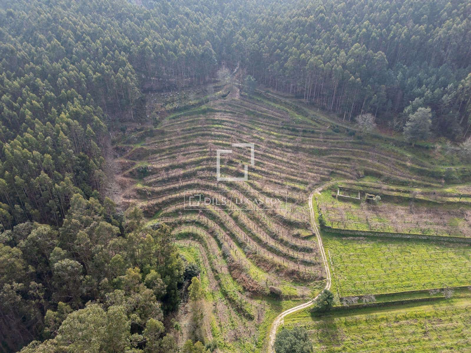 Finca/Casa Rural de 5 habitaciones en Mos en venta con garaje - 1.800.000 € (Ref: 7341974)