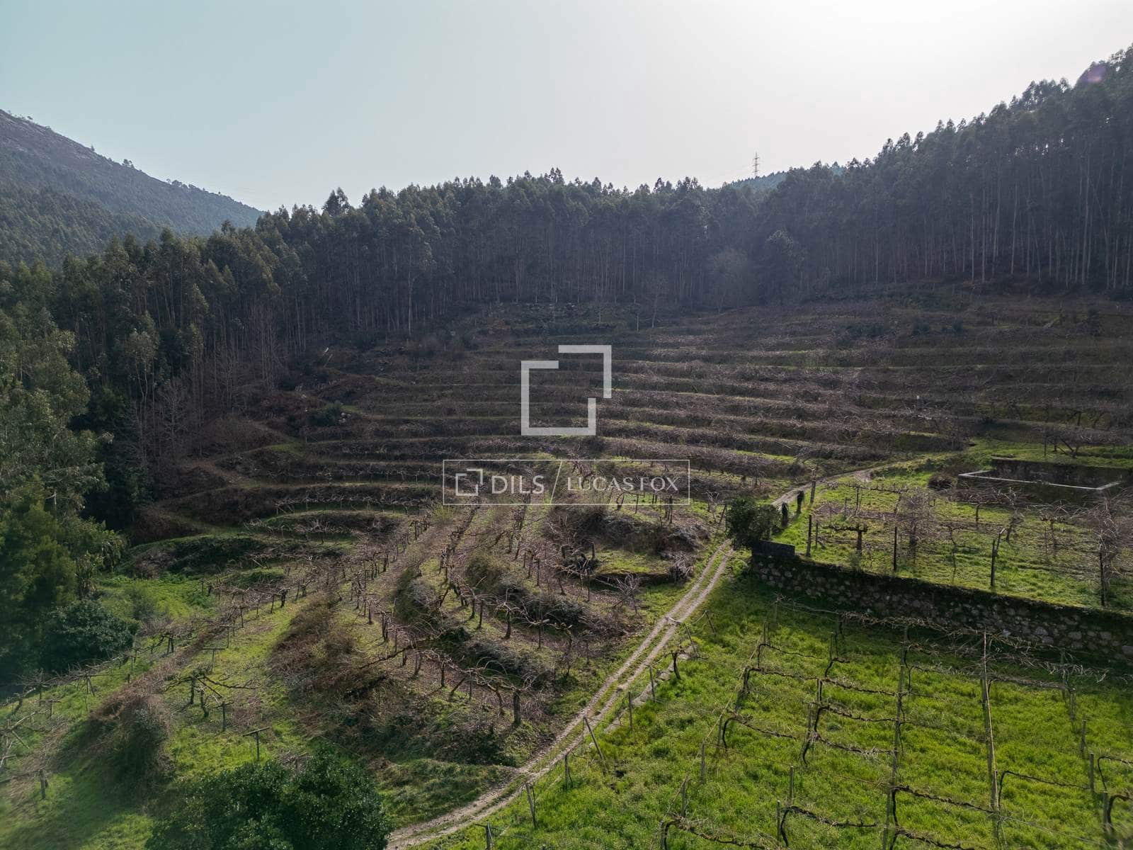 Finca/Casa Rural de 5 habitaciones en Mos en venta con garaje - 1.800.000 € (Ref: 7341974)