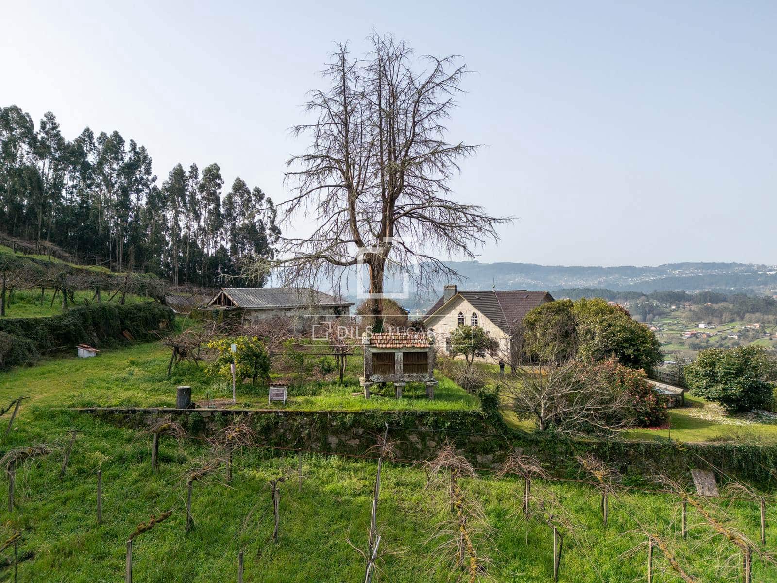 Finca/Casa Rural de 5 habitaciones en Mos en venta con garaje - 1.800.000 € (Ref: 7341974)