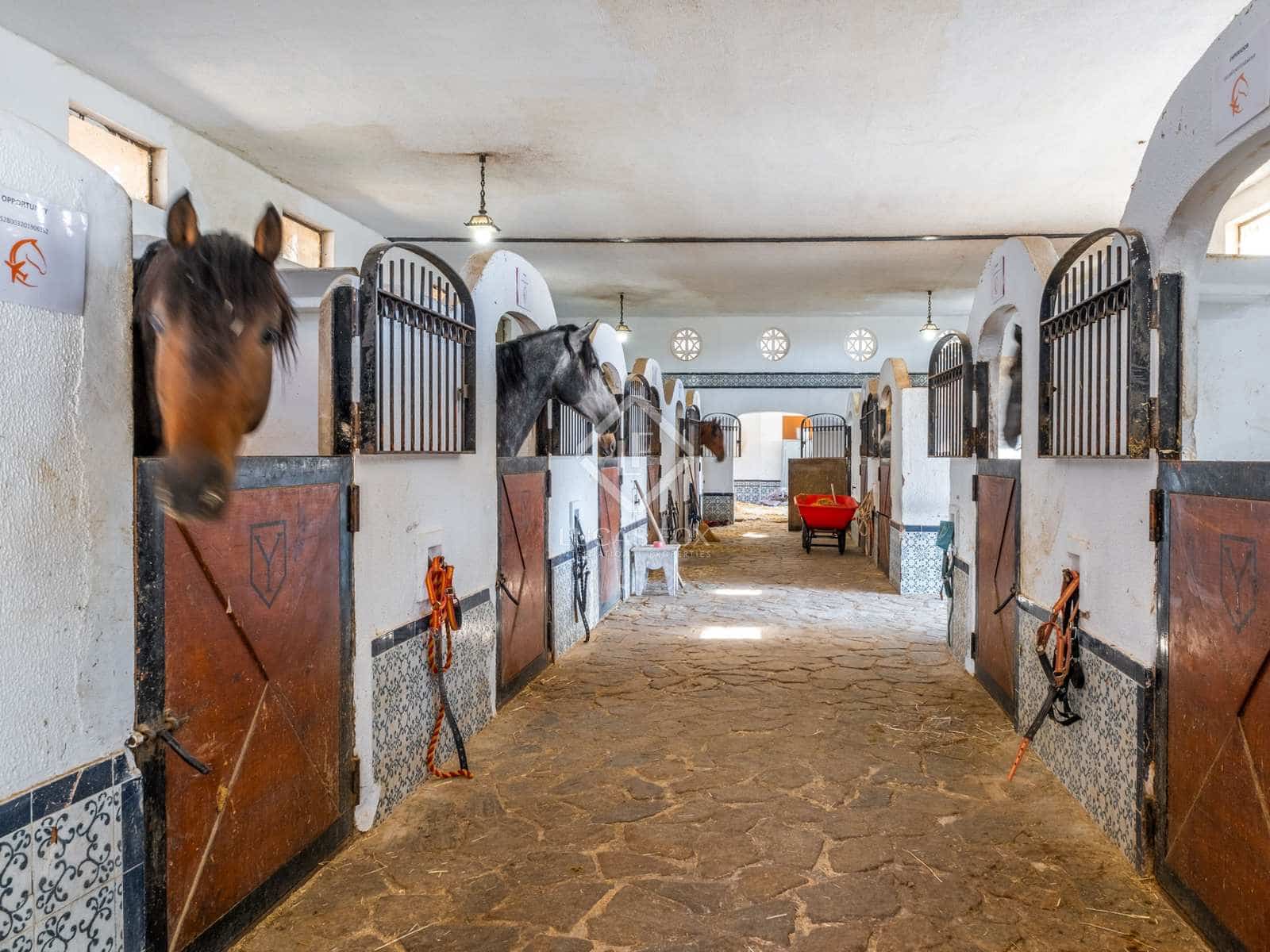 8 soveværelse Finca/Landehus til salg i Novelda med swimmingpool - € 6.000.000 (Ref: 7396570)