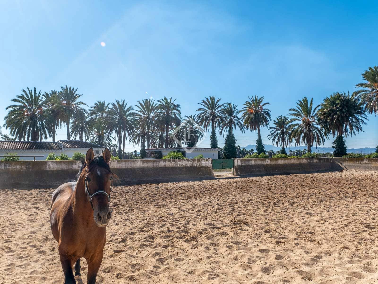 8 soveværelse Finca/Landehus til salg i Novelda med swimmingpool - € 6.000.000 (Ref: 7396570)