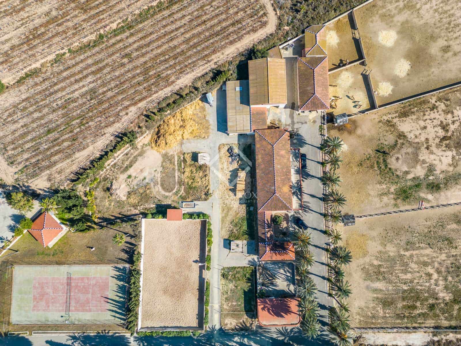 8 soveværelse Finca/Landehus til salg i Novelda med swimmingpool - € 6.000.000 (Ref: 7396570)