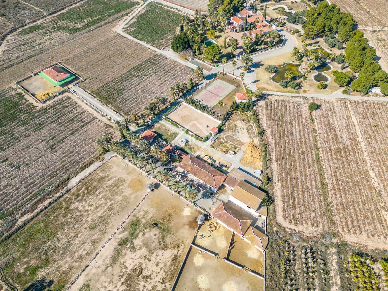 8 soveværelse Finca/Landehus til salg i Novelda med swimmingpool - € 6.000.000 (Ref: 7396570)