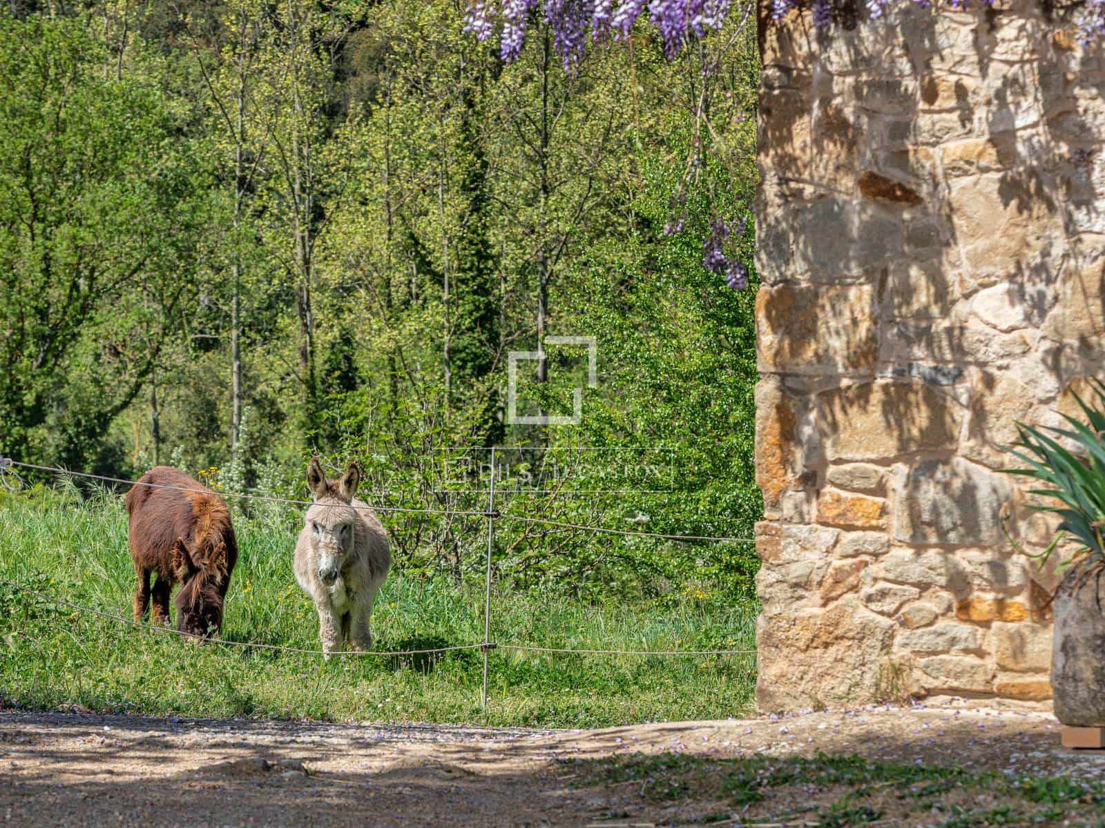 10 bedroom Finca/Country House for sale in Sant Marti Vell with pool garage - € 2,000,000 (Ref: 7418023)