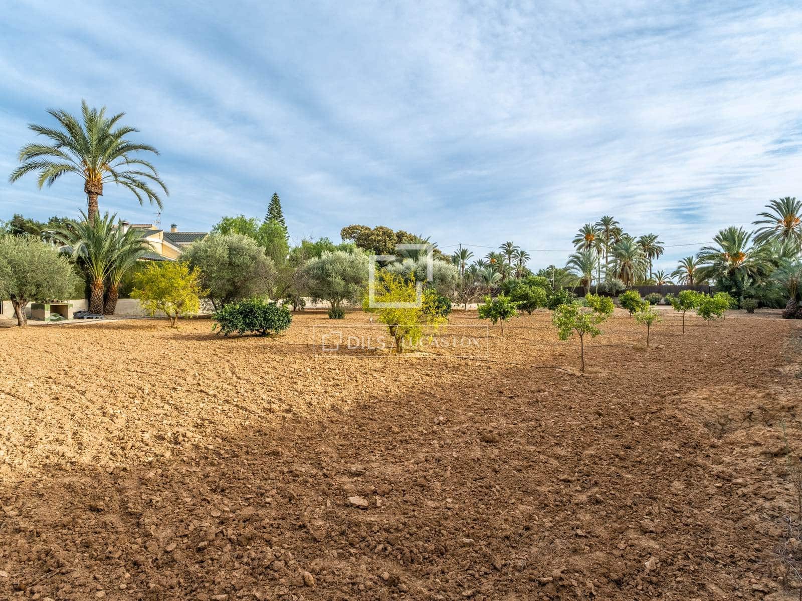 5 bedroom Villa for sale in Elche / Elx with pool garage - € 1,000,000 (Ref: 7444569)
