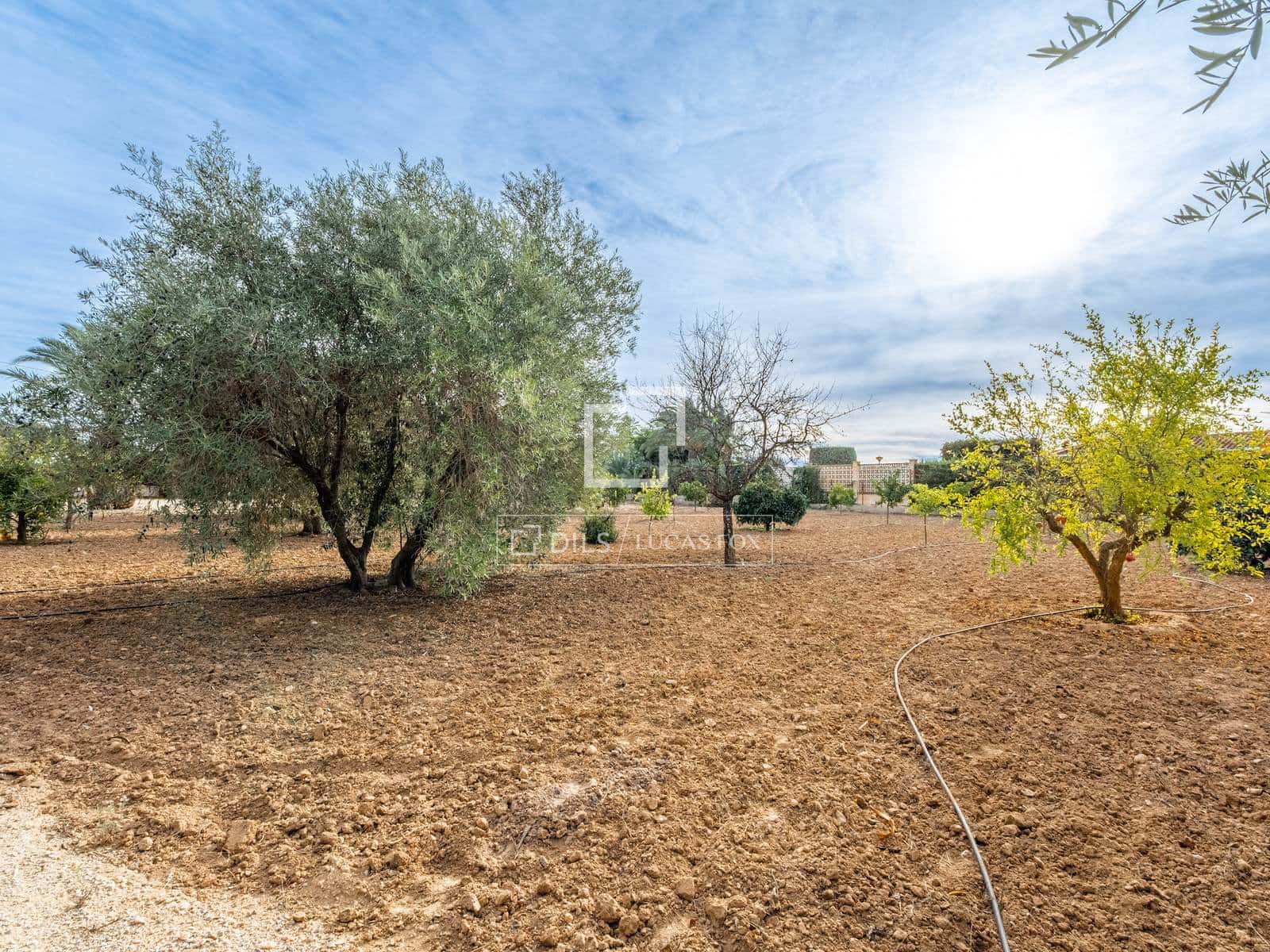 5 bedroom Villa for sale in Elche / Elx with pool garage - € 1,000,000 (Ref: 7444569)
