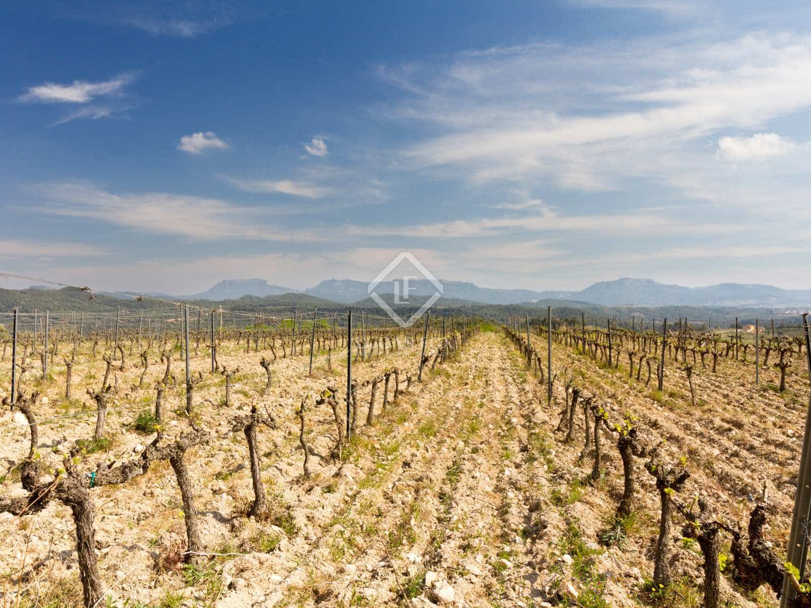 15 soveværelse Finca/Landehus til salg i El Molar med swimmingpool garage - € 5.250.000 (Ref: 7526948)