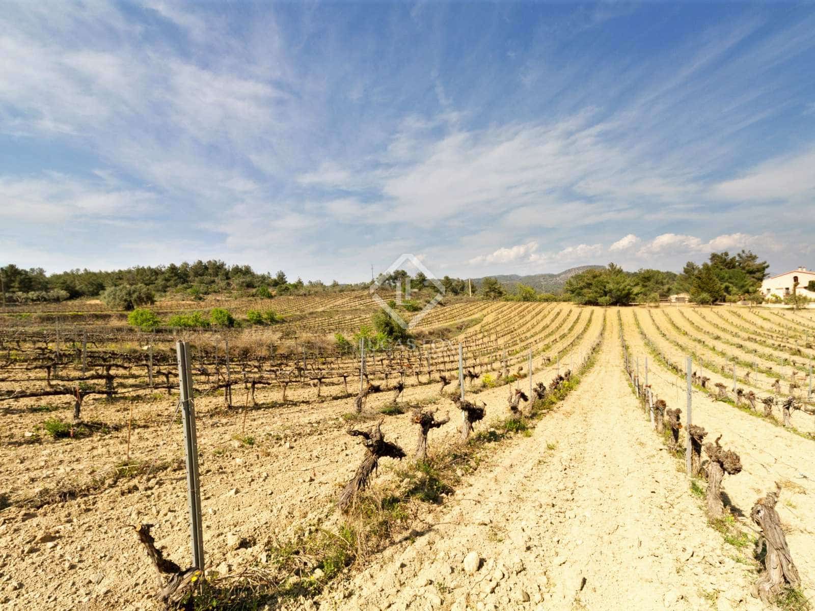 15 soveværelse Finca/Landehus til salg i El Molar med swimmingpool garage - € 5.250.000 (Ref: 7526948)